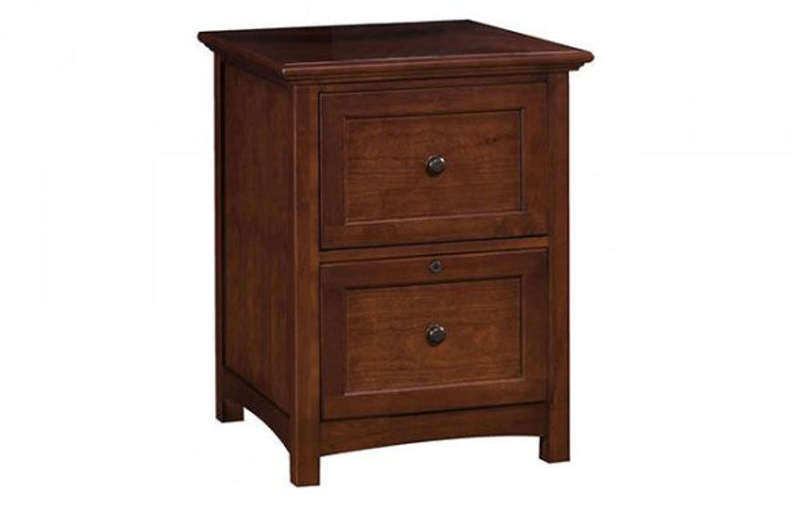 Picture of 2 DRAWER LATERAL FILE