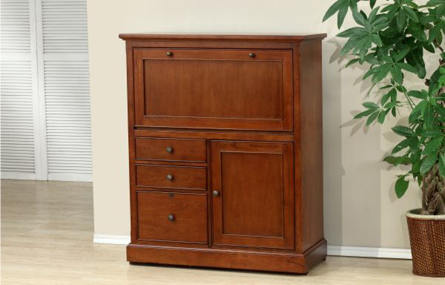 Picture of 41 in COMPUTER ARMOIRE